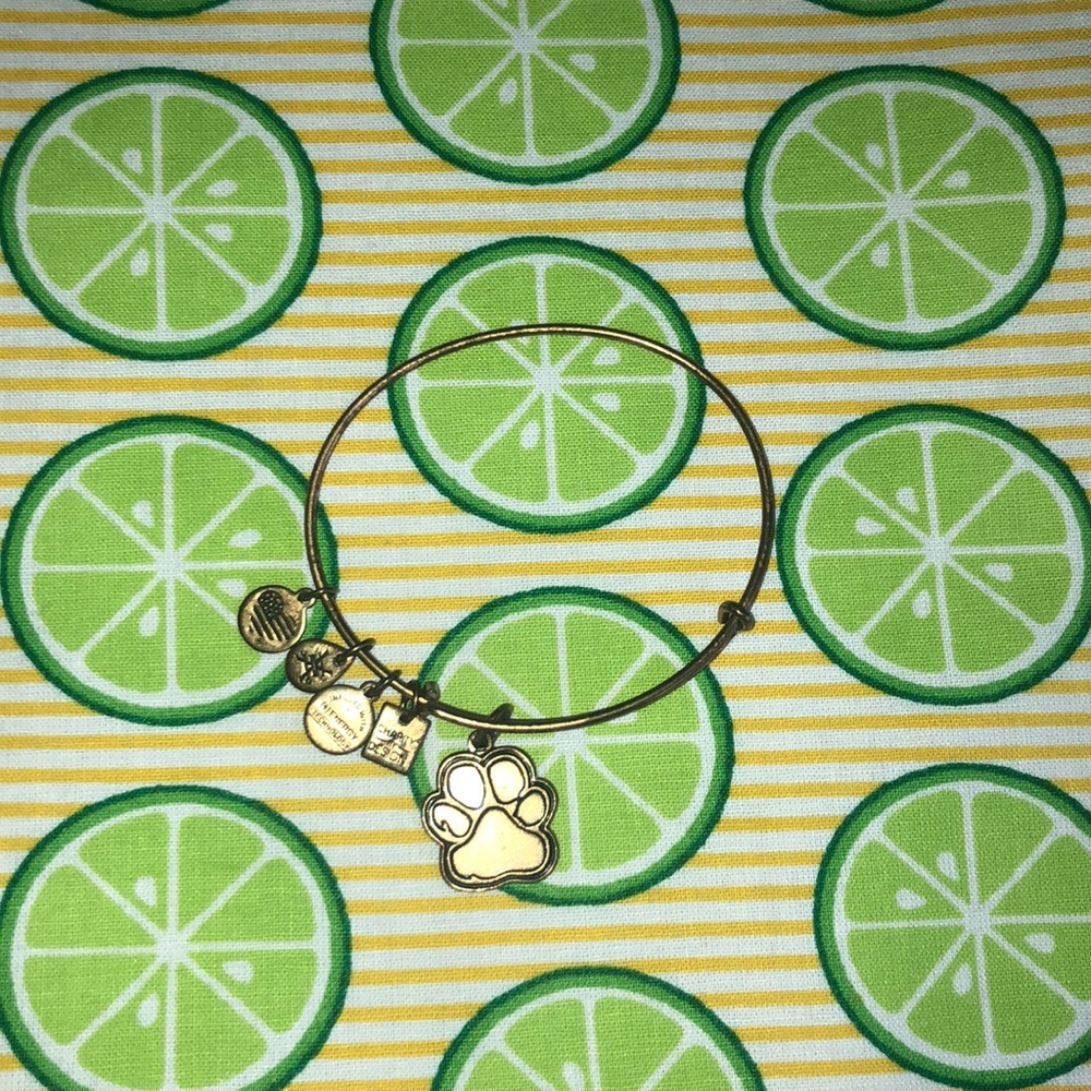 Alex and ani pawprint bangle